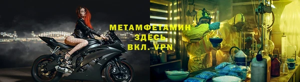 ГАЛЛЮЦИНОГЕННЫЕ ГРИБЫ Гусев