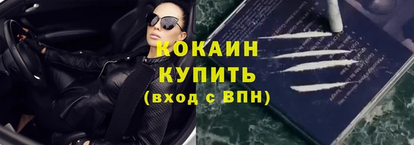 ГАЛЛЮЦИНОГЕННЫЕ ГРИБЫ Гусев