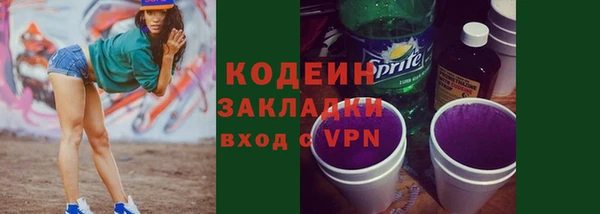ГАЛЛЮЦИНОГЕННЫЕ ГРИБЫ Гусев