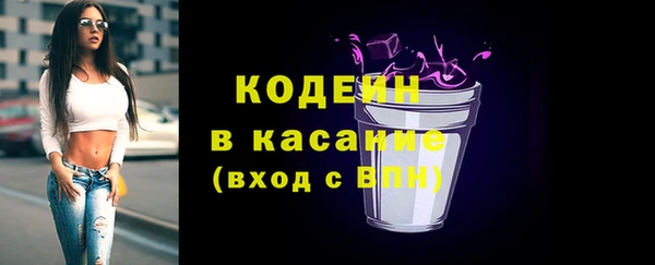 ГАЛЛЮЦИНОГЕННЫЕ ГРИБЫ Гусев