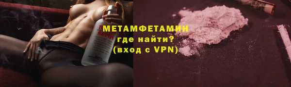 ГАЛЛЮЦИНОГЕННЫЕ ГРИБЫ Гусев