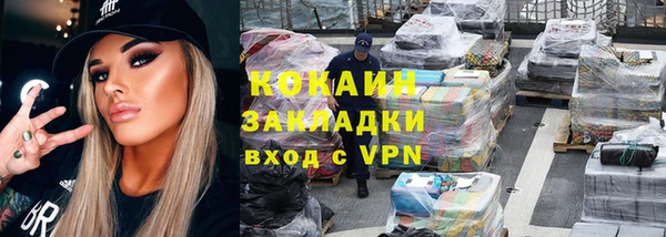 ГАЛЛЮЦИНОГЕННЫЕ ГРИБЫ Гусев