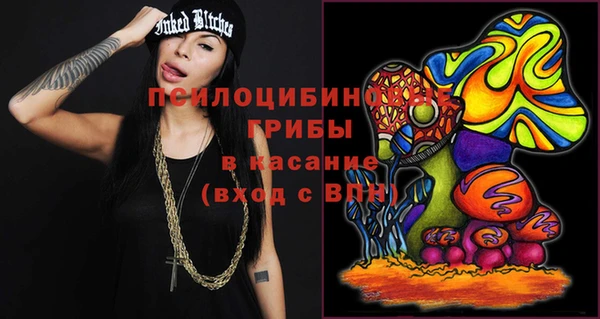 ГАЛЛЮЦИНОГЕННЫЕ ГРИБЫ Гусев