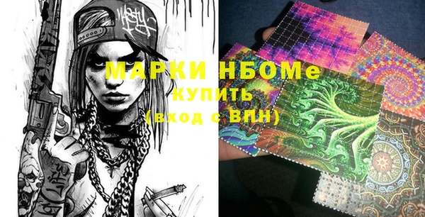 ГАЛЛЮЦИНОГЕННЫЕ ГРИБЫ Гусев