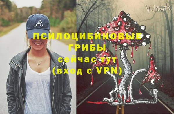 ГАЛЛЮЦИНОГЕННЫЕ ГРИБЫ Гусев
