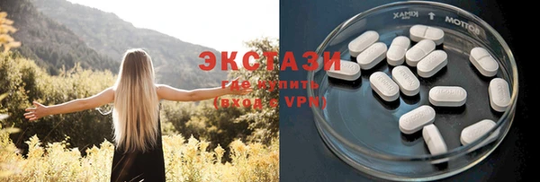 ГАЛЛЮЦИНОГЕННЫЕ ГРИБЫ Гусев