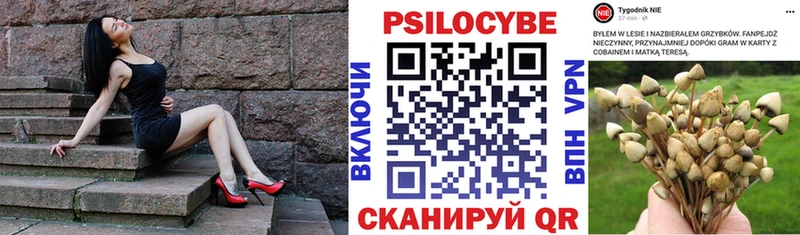 Псилоцибиновые грибы MAGIC MUSHROOMS  Купить где  Новоржев 